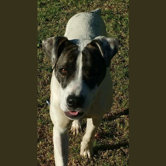 Photo of Electra  *Only $99*