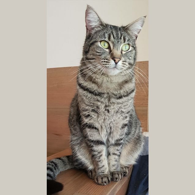 Photo of Odette