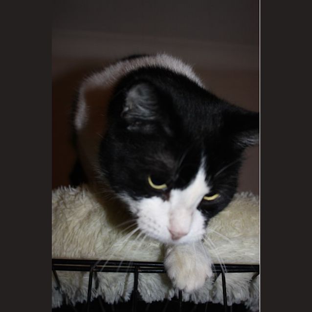 Photo of Margot 
