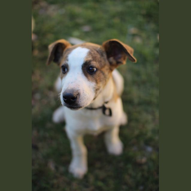 Photo of Lala 