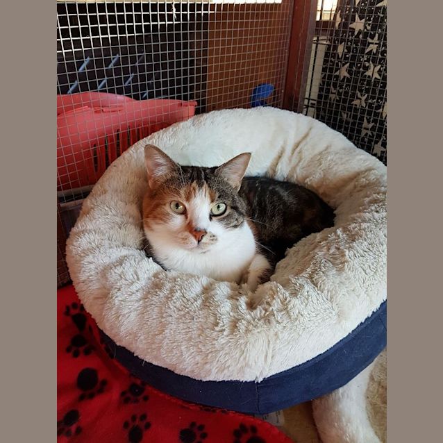 Photo of Missy