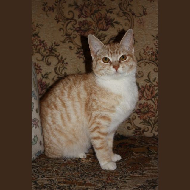 Photo of Charlene 