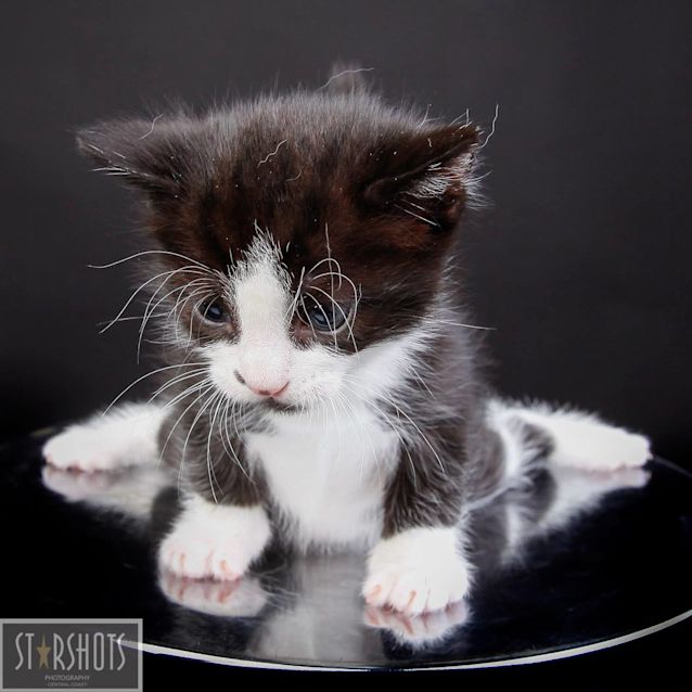 Photo of Dotti