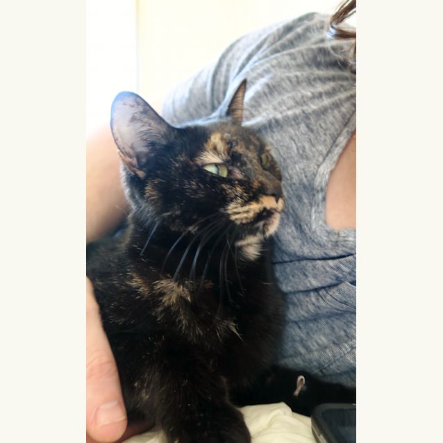 Photo of Sadie