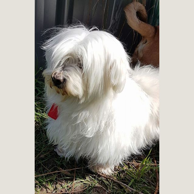 Photo of Missy