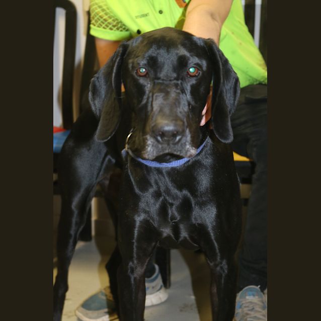 Photo of Coco