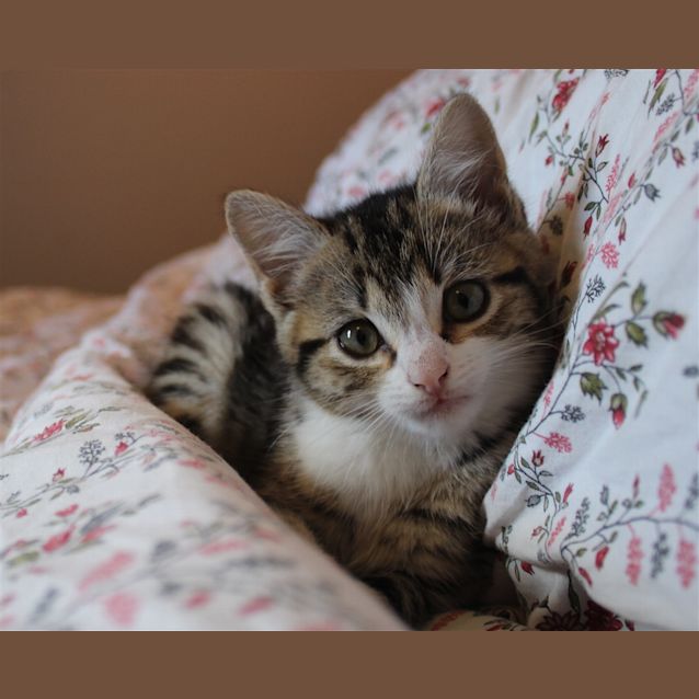 Photo of Boots