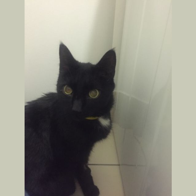 Photo of Betty Boo
