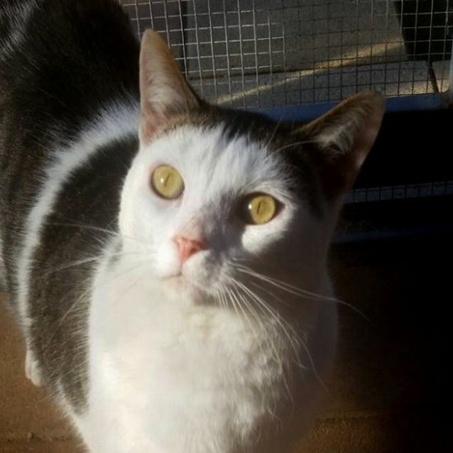 Photo of Mr Whitey