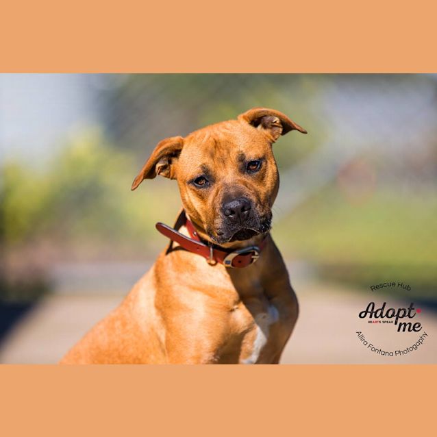 Photo of Leo (Thsc 99)