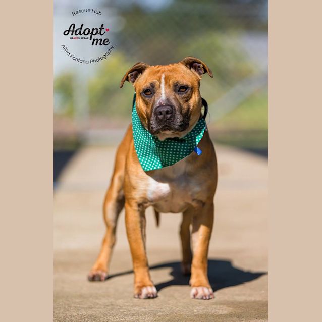 Photo of Tim (Pcc 448)