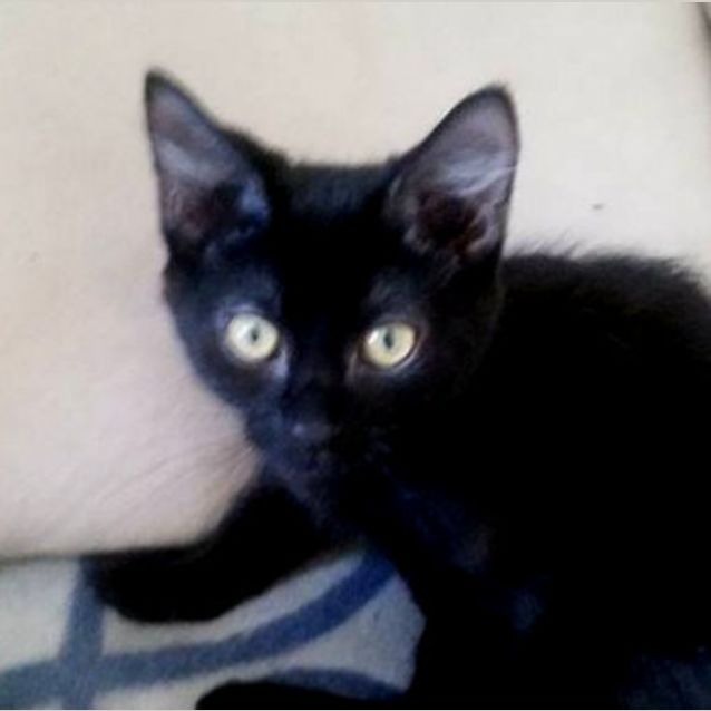 Photo of Martha