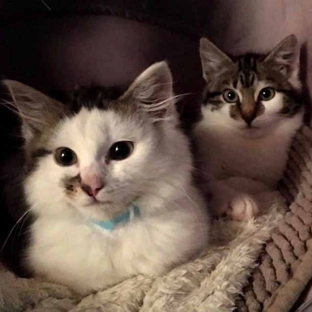 Photo of Poppy And Squeak