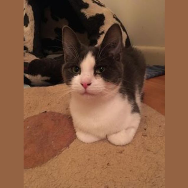 Photo of Quinn