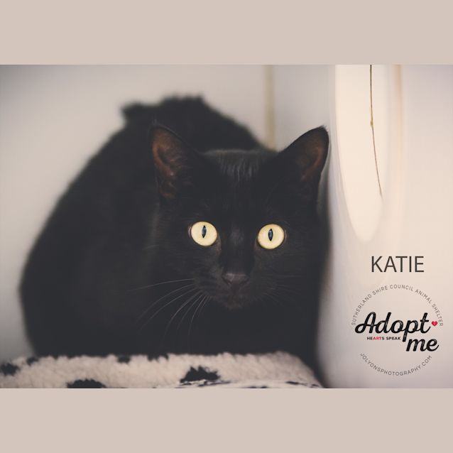 Photo of Katie