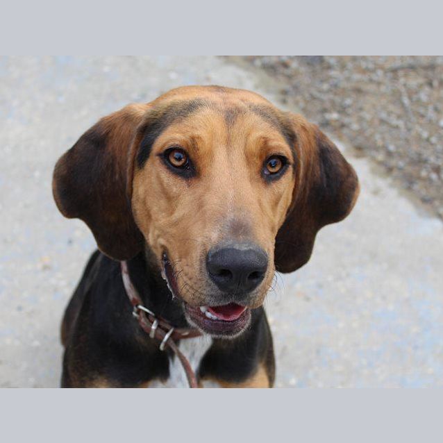 Photo of Marley