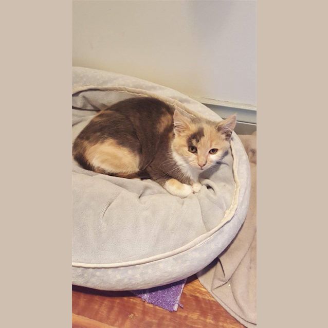 Photo of Ellie