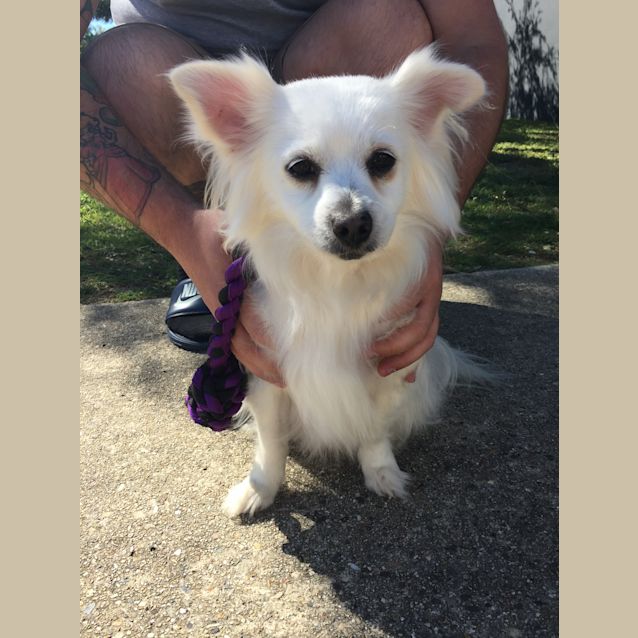 Photo of Twinky