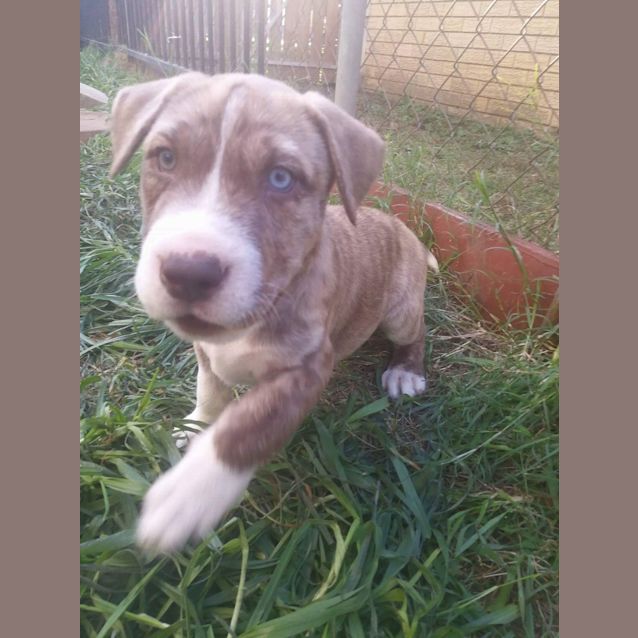 Photo of Rippley
