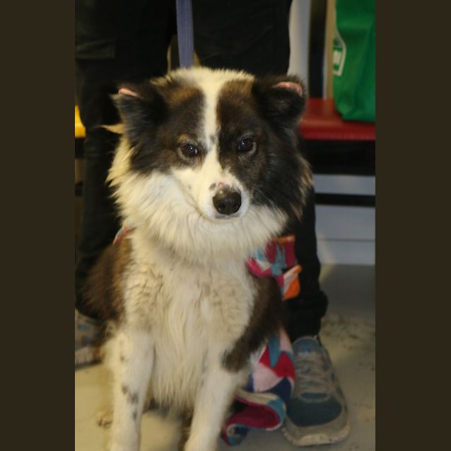 Photo of Gideon