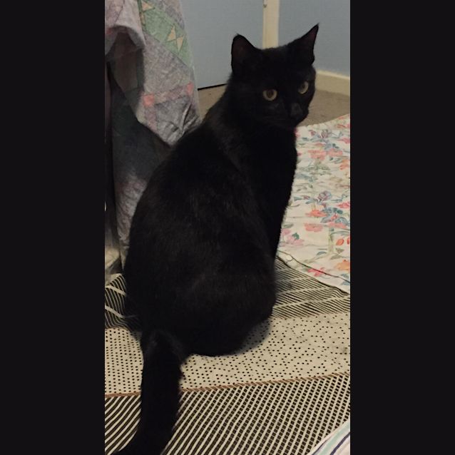 Photo of Wednesday