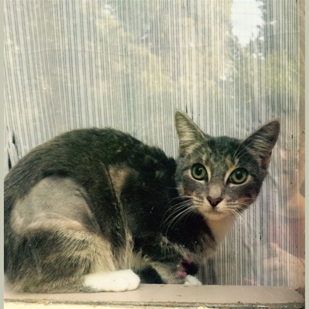 Photo of Polly