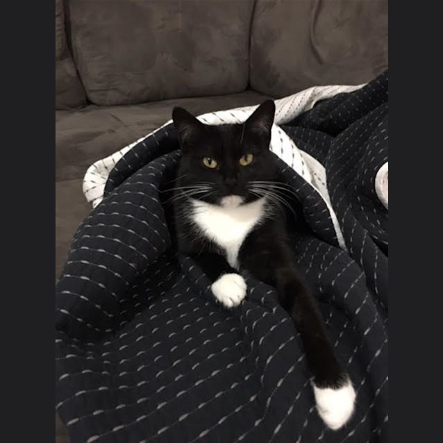 Photo of Penelope