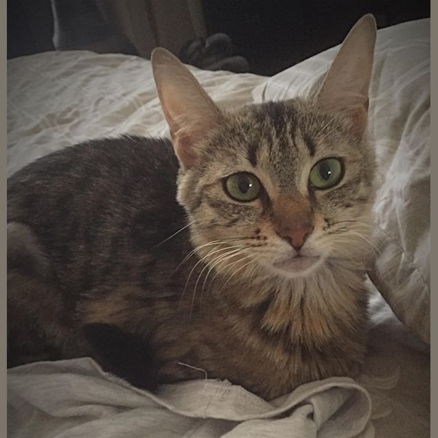 Photo of Millie