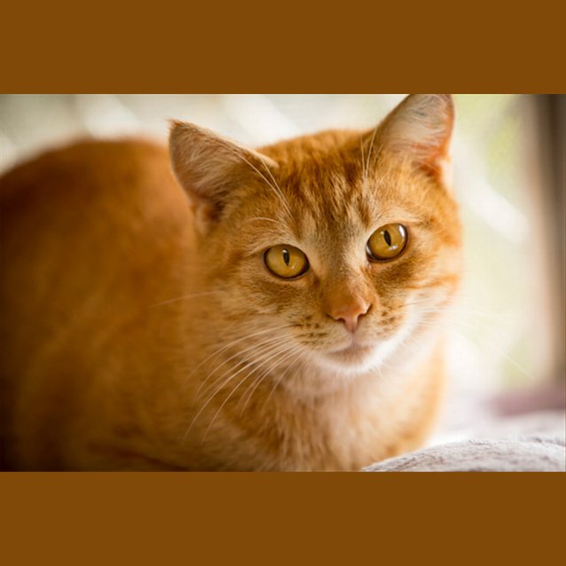 Photo of Maggie