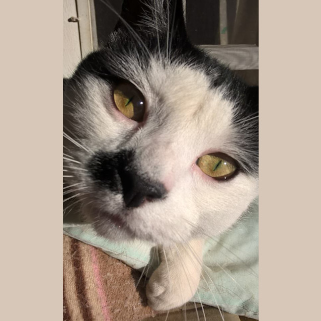 Photo of Maurice