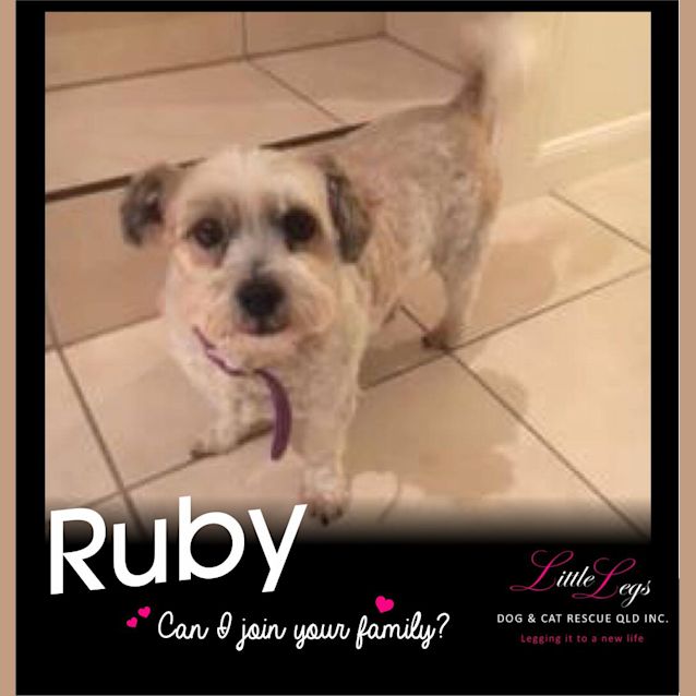 Photo of Ruby