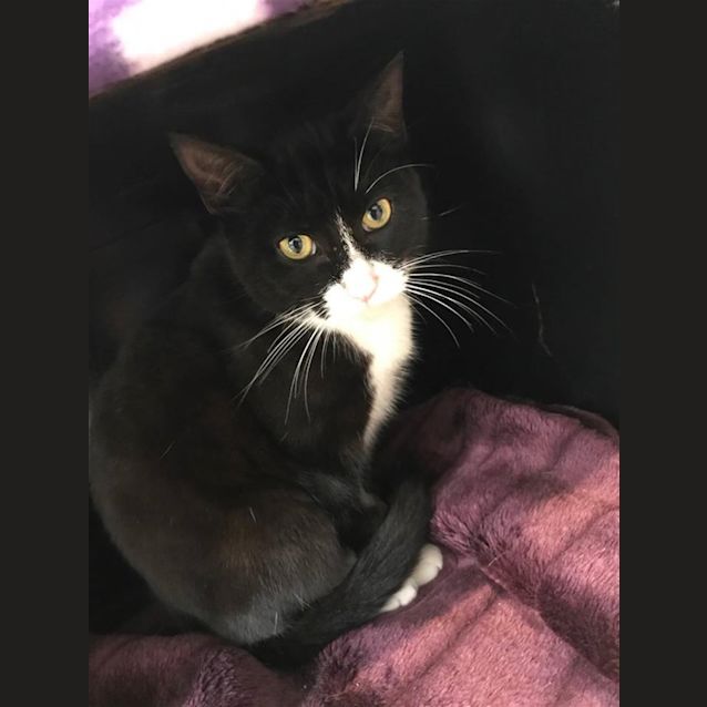 Photo of Count