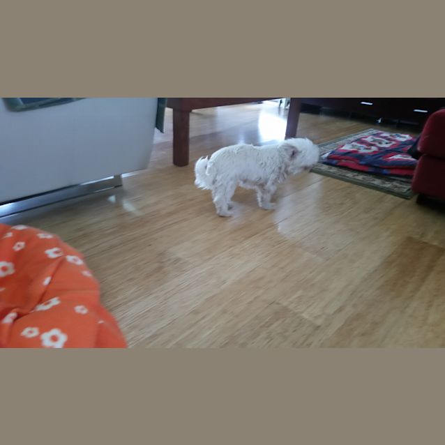 Photo of Marnie