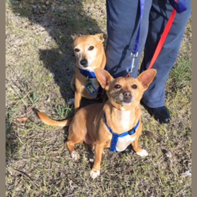 Photo of Amber And Rose