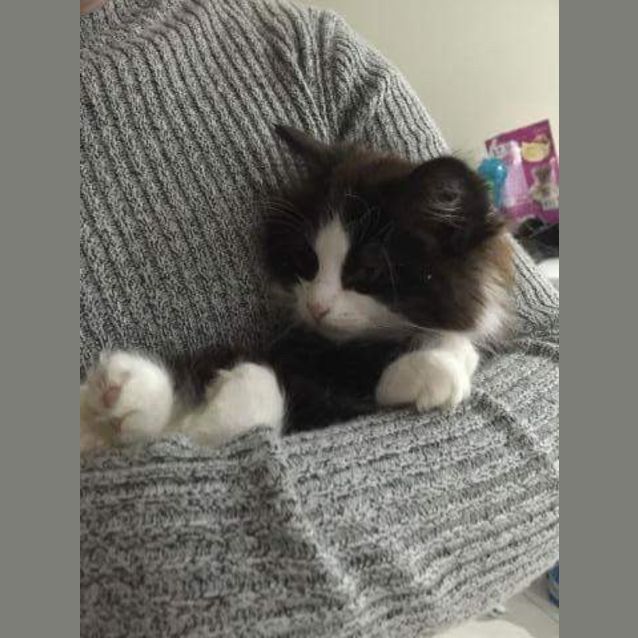 Photo of Wendy 