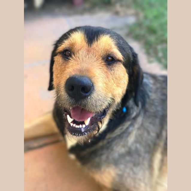 Photo of Billy