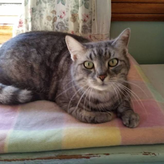 Photo of Lady O'grady
