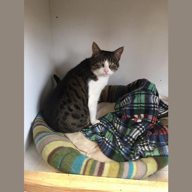 Photo of Milly