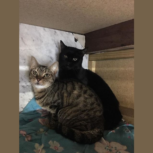 Photo of Jarrah And Zac