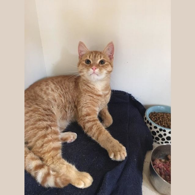 Photo of Nigel