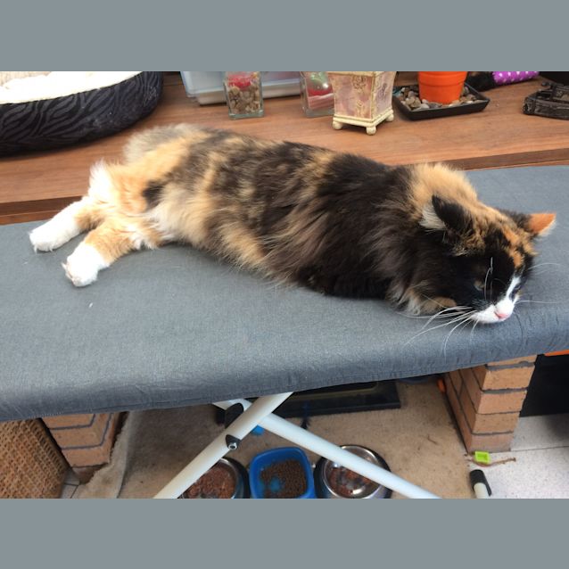 Photo of Miss Lilly