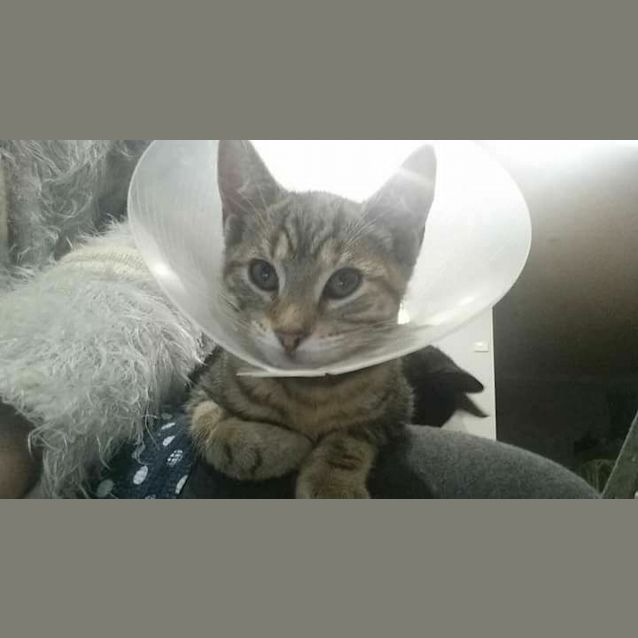Photo of Agent Kay 