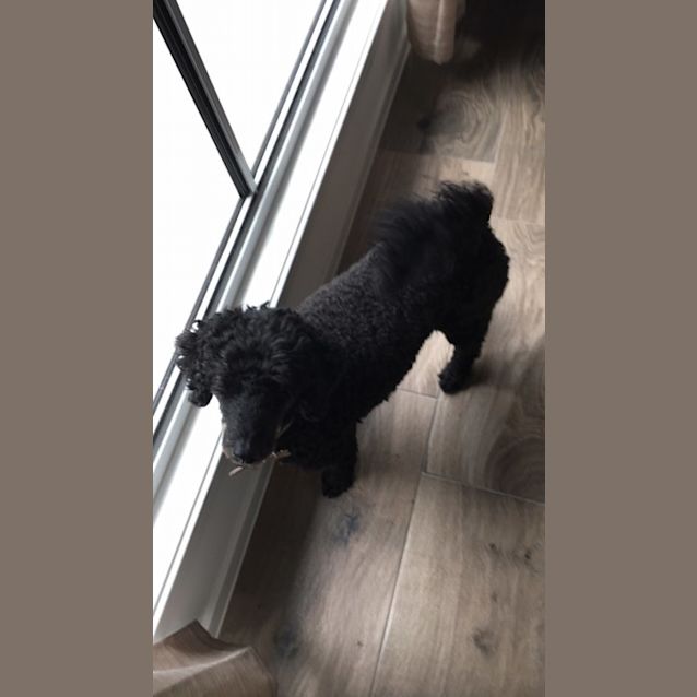 Photo of Susie
