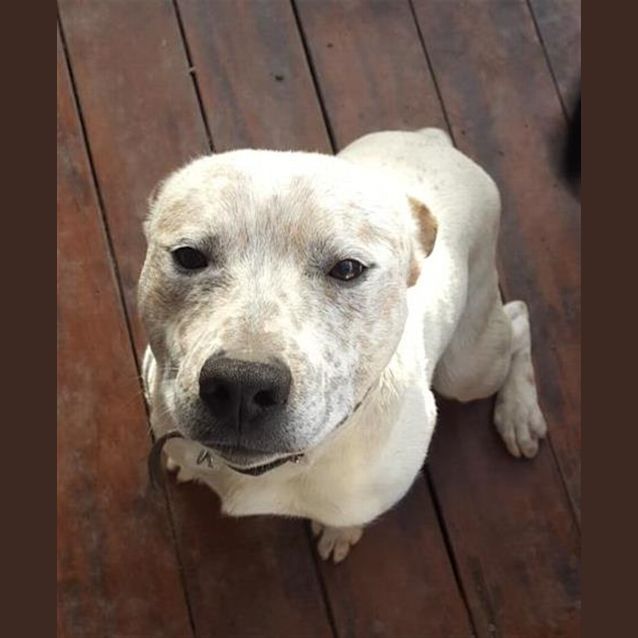 Photo of Dudley