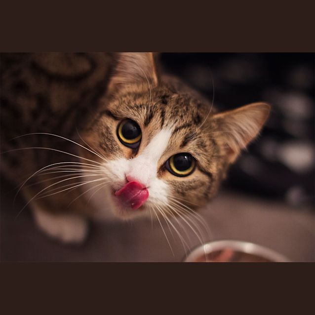 Photo of Milly