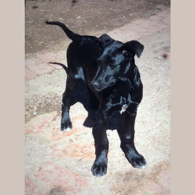 Photo of Holly