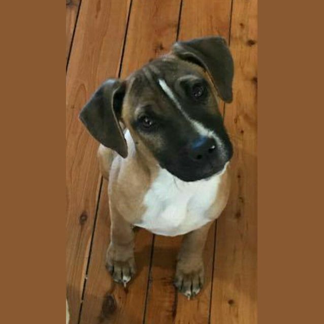 Photo of Beautiful Bodie 