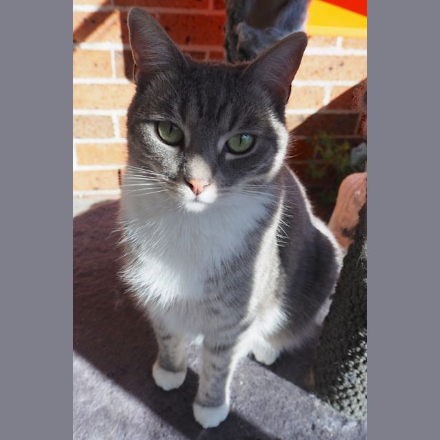 Photo of Sarah & Sasha