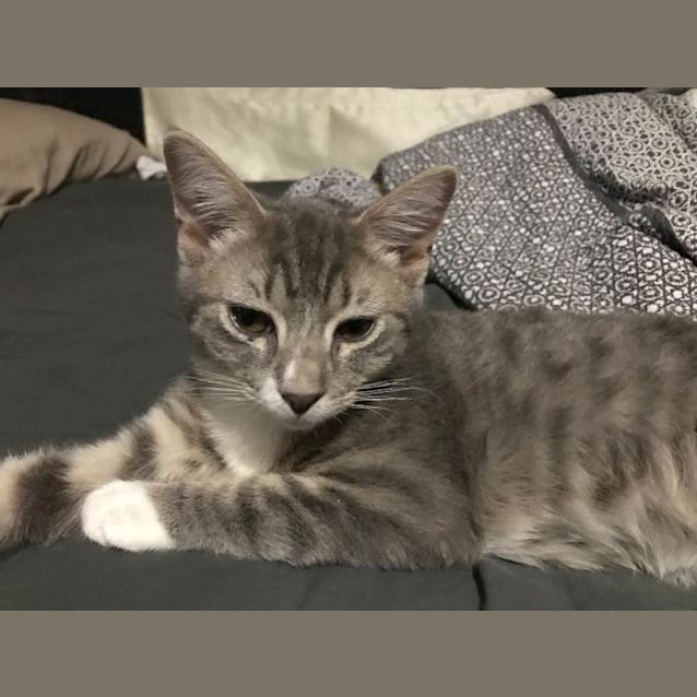 Photo of Ash
