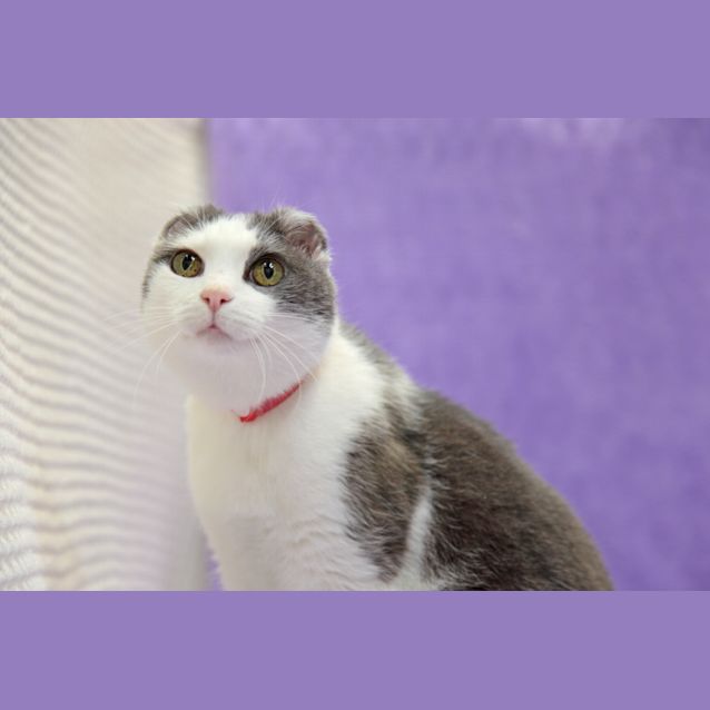 Photo of Holly